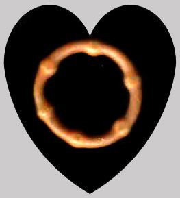 Cock ring!